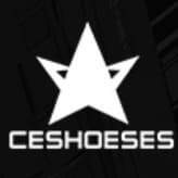迪星 CESHOESES