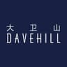 大卫山 DAVE HILL