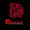曜越电竞 Tt eSPORTS