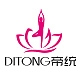 帝统DITONG品牌LOGO
