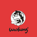 悟空WOOKONG品牌LOGO
