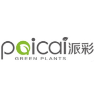 派彩PAICAI品牌LOGO