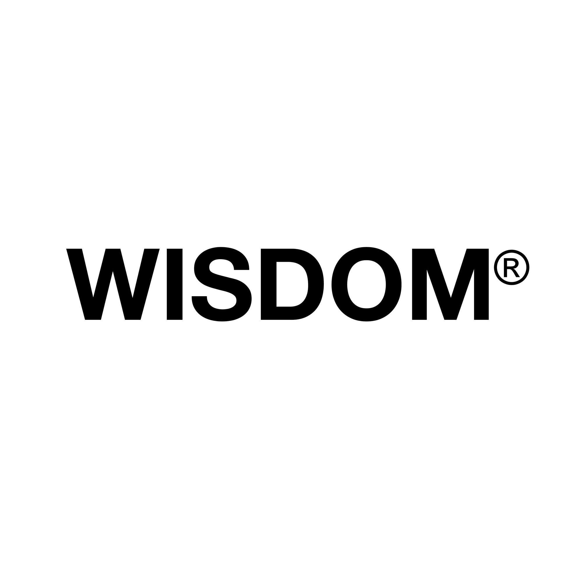 WISDOM品牌LOGO