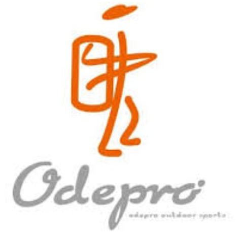 奥德宝Odepro品牌LOGO