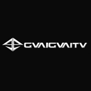 GVAIGVAITV品牌LOGO