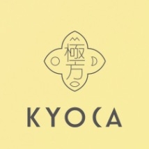 极方KYOCA品牌LOGO