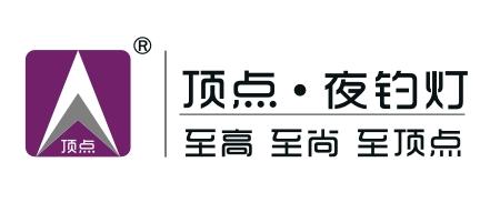 顶点TOPOINT品牌LOGO