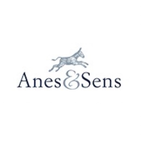 Anes&Sens品牌LOGO