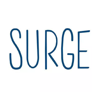 Surge品牌LOGO