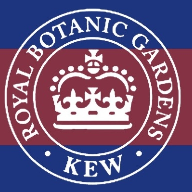 邱园KEW品牌LOGO