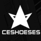 迪星CESHOESES品牌LOGO