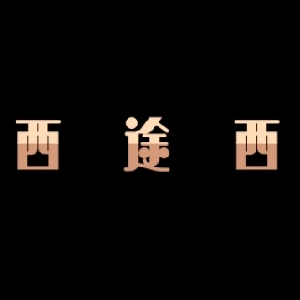 西途西XCTROC品牌LOGO