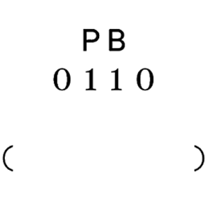 PB 0110品牌LOGO