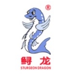 鲟龙STURGEON DRAGON品牌LOGO