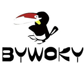 佰沃客BYWOKY品牌LOGO
