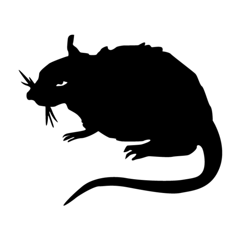 STRAY RATS品牌LOGO