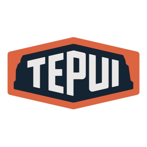 TEPUI品牌LOGO