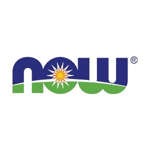 诺奥NOW品牌LOGO