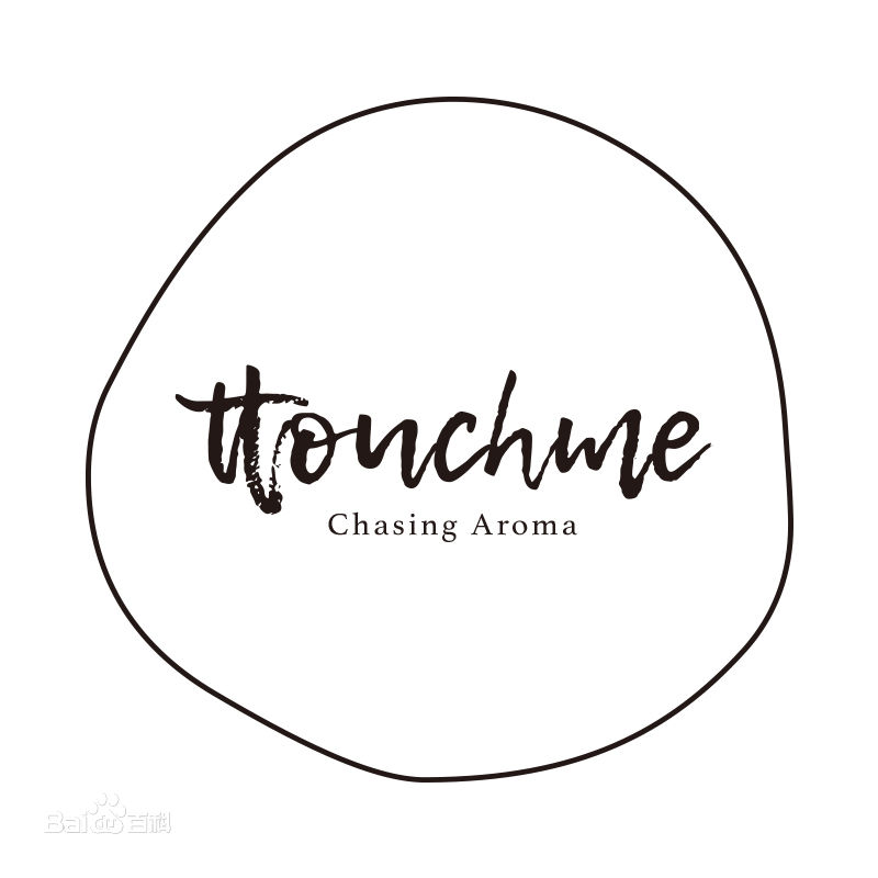 TTOUCHME品牌LOGO