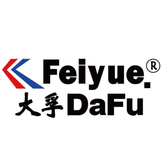 大孚飞跃DaFuFeiyue品牌LOGO