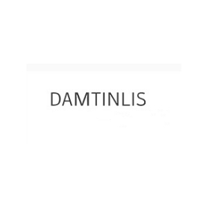 丹丁力诗DAMTINLIS品牌LOGO