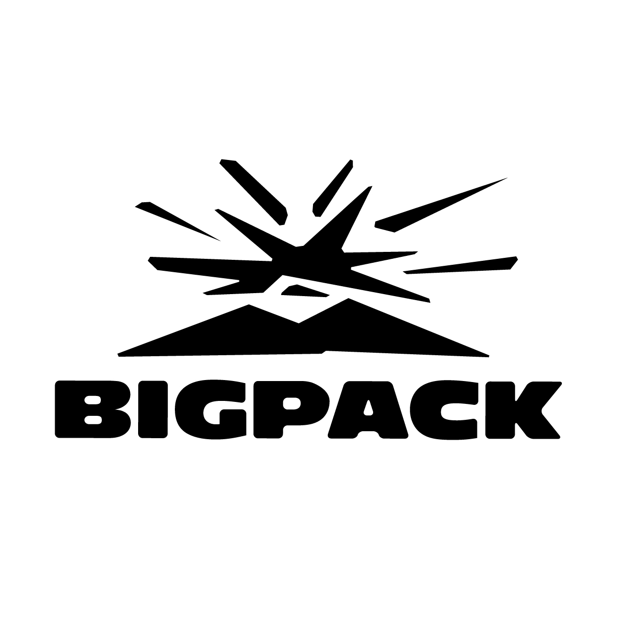 派格BIGPACK品牌LOGO