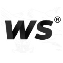 WS snowboards品牌LOGO