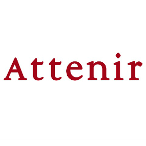 艾天然Attenir品牌LOGO