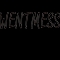 唯伊丝WENTMESS品牌LOGO