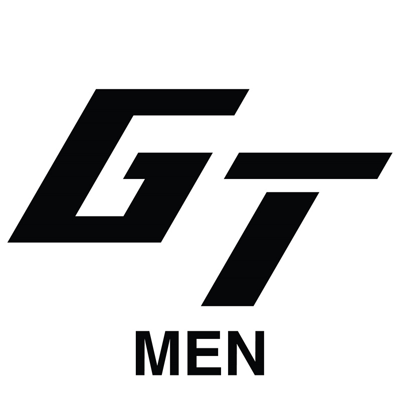 高擎GT品牌LOGO