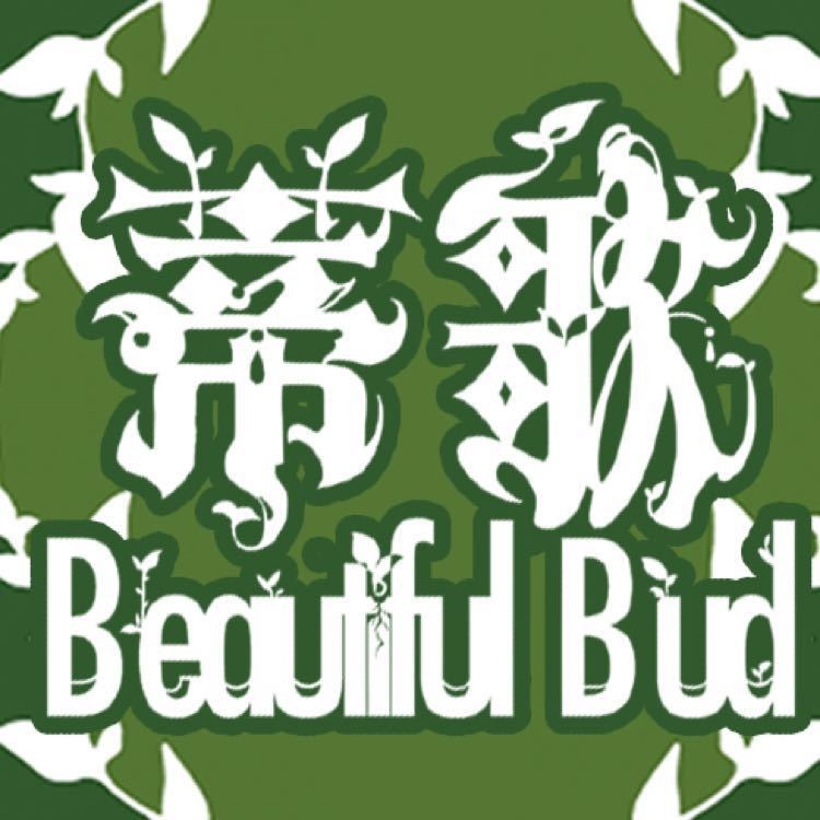 蒂歌Beautiful Bud品牌LOGO