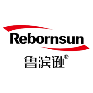 鲁滨逊Robinson品牌LOGO