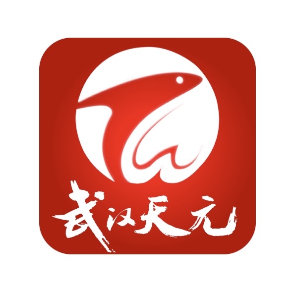 武汉天元品牌LOGO
