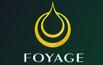 梵颜FOYAGE品牌LOGO