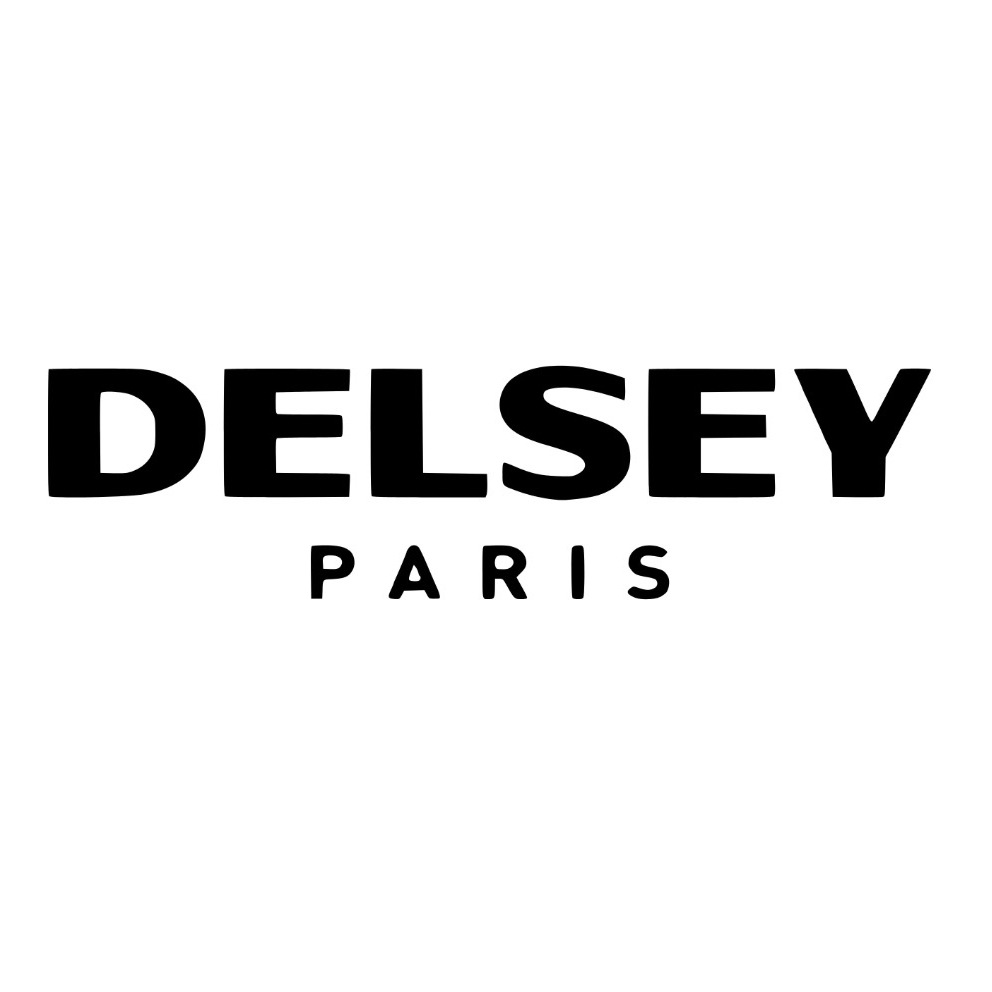 戴乐世DELSEY品牌LOGO