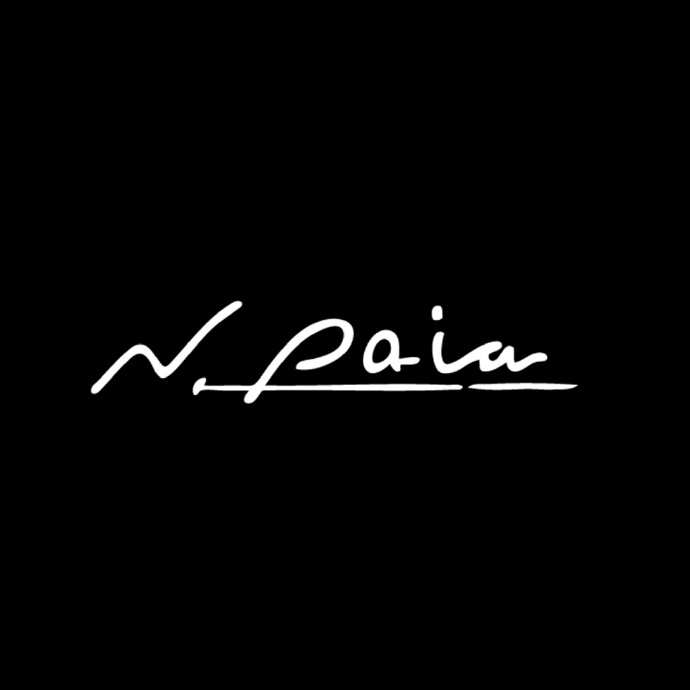 恩派雅N·paia品牌LOGO