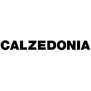 Calzedonia品牌LOGO