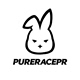 PURE RACE PR品牌LOGO