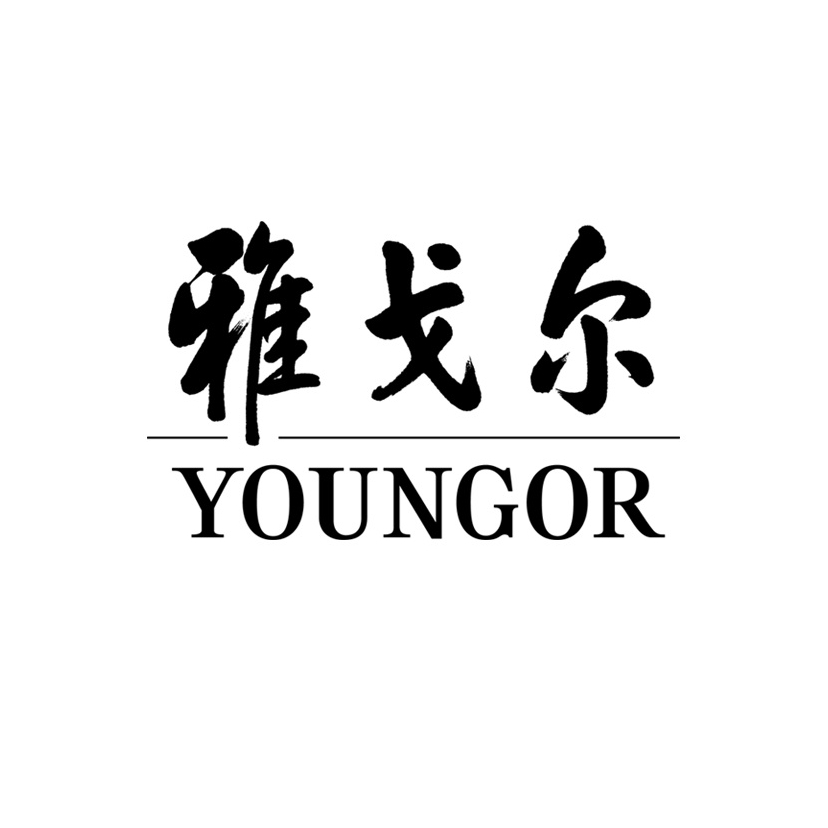 雅戈尔YOUNGOR品牌LOGO