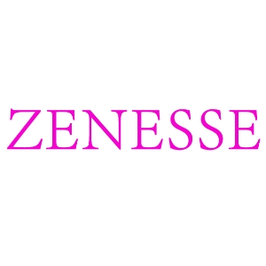 zenesse品牌LOGO