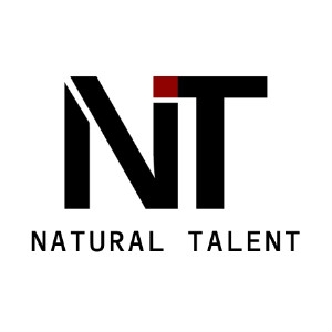 NT品牌LOGO