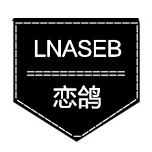 恋鸽Lnaseb品牌LOGO