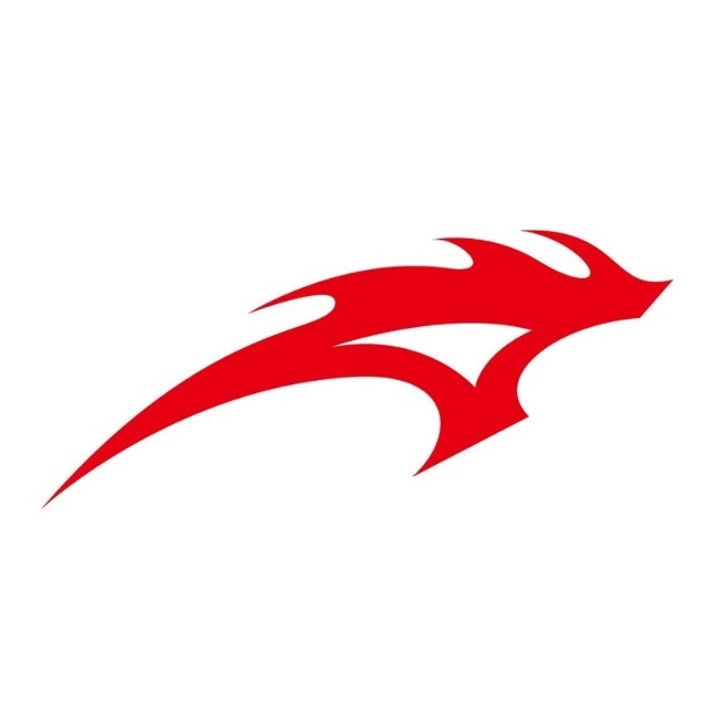 狂神品牌LOGO