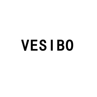 维斯博VESIBO品牌LOGO