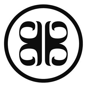 Y-VISON品牌LOGO