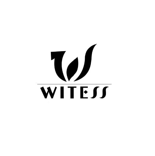 威特斯WITESS品牌LOGO