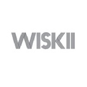 WISKII品牌LOGO