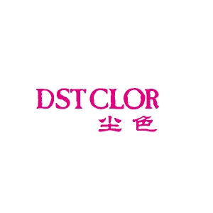尘色DSTCLOR·品牌LOGO