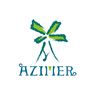 阿姿美尔AZIMER品牌LOGO