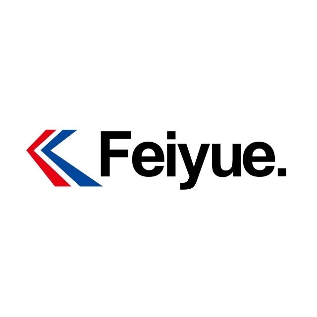飞跃Feiyue.品牌LOGO